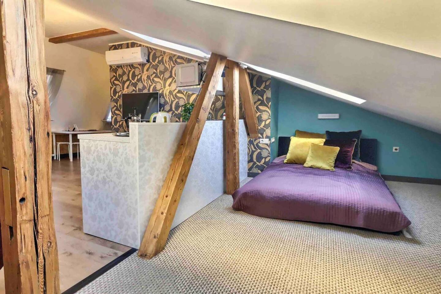 Luxurious Old Appartement